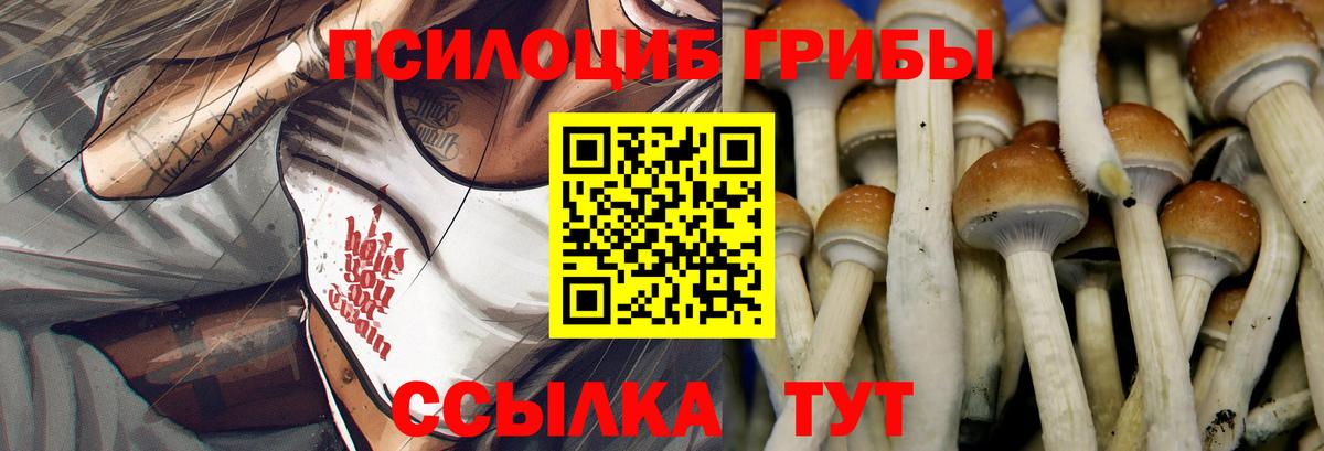 Галлюциногенные грибы Cubensis  Вход с VPN  где купить наркоту  Куйбышев 