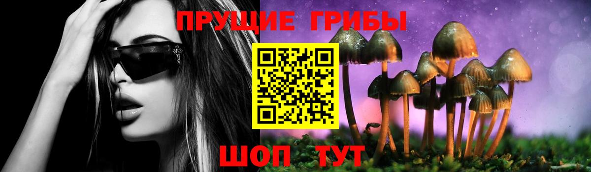 Галлюциногенные грибы мицелий Куйбышев